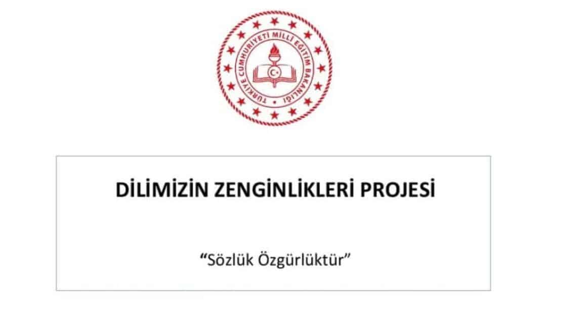 Dilimizin Zenginlikleri Projesi  yaygınlaştırma çalışması